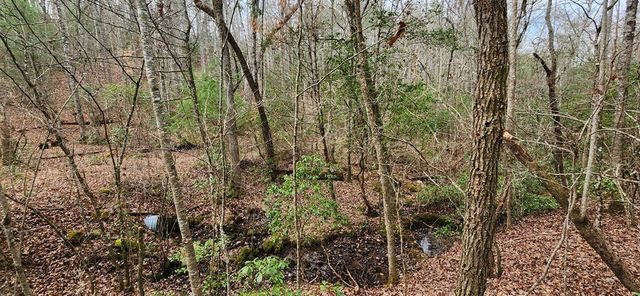 Lot 18 Gray Fox Trail, Blairsville, GA 30512