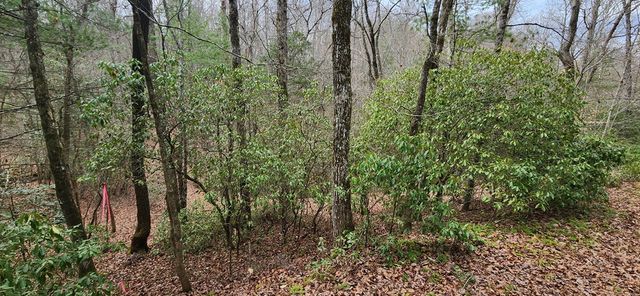 Lot 18 Gray Fox Trail, Blairsville, GA 30512