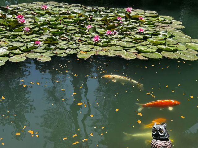 313 Eagle Ridge Drive, Grants Pass, OR 97526