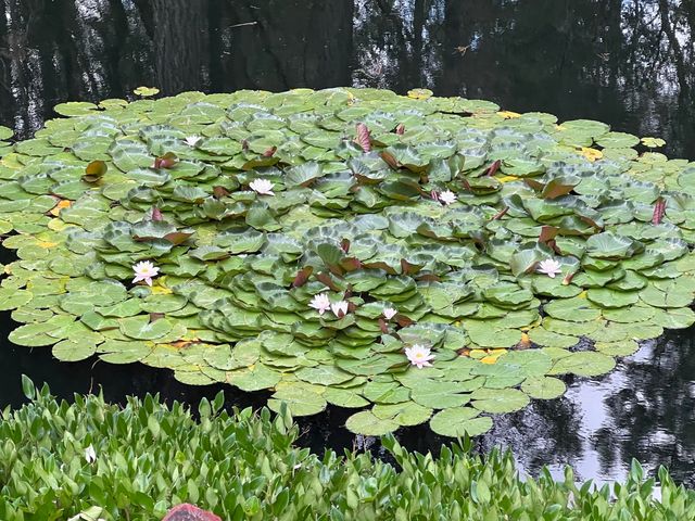 313 Eagle Ridge Drive, Grants Pass, OR 97526