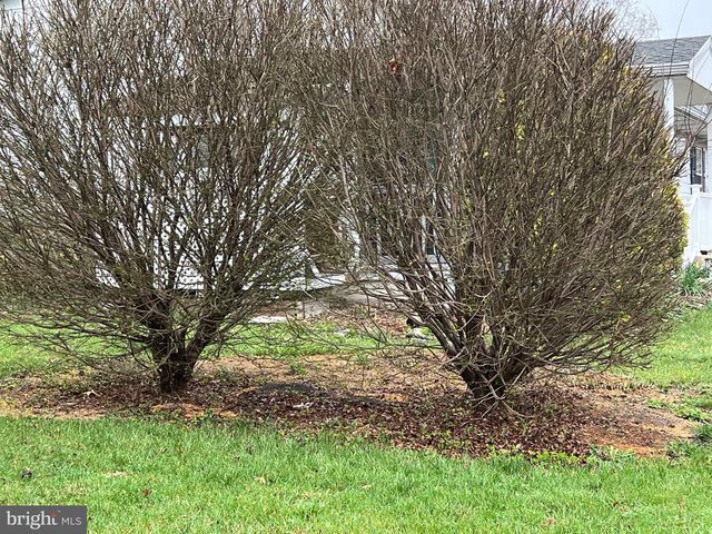 2 LOCUST LN, Womelsdorf, PA 19567