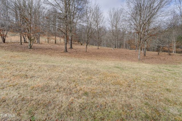 257 Cripple Creek Loop, Watauga, TN 37694
