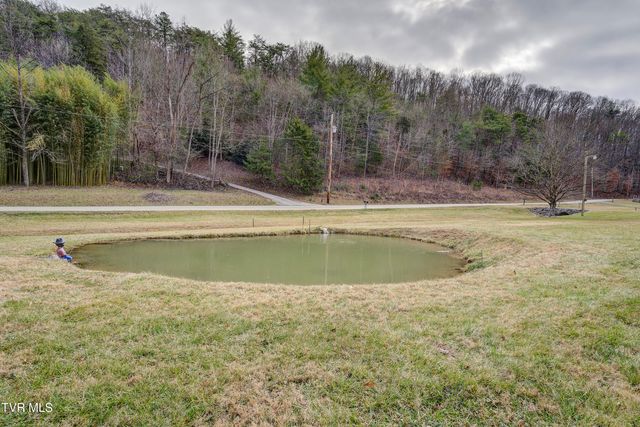 257 Cripple Creek Loop, Watauga, TN 37694
