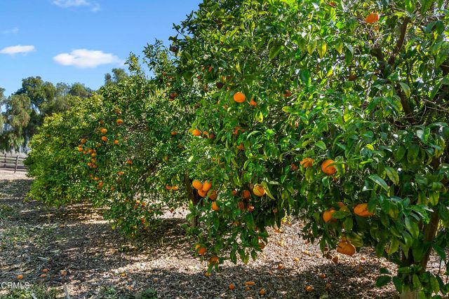 13226 Nightsky Drive, Camarillo, CA 93012