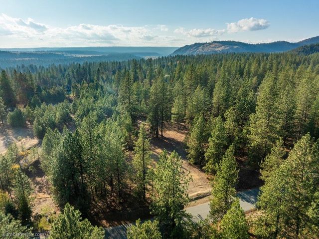 13601 N RIVERBLUFF Ln, Spokane, WA 99208