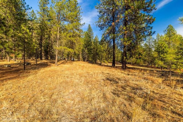 13601 N RIVERBLUFF Ln, Spokane, WA 99208