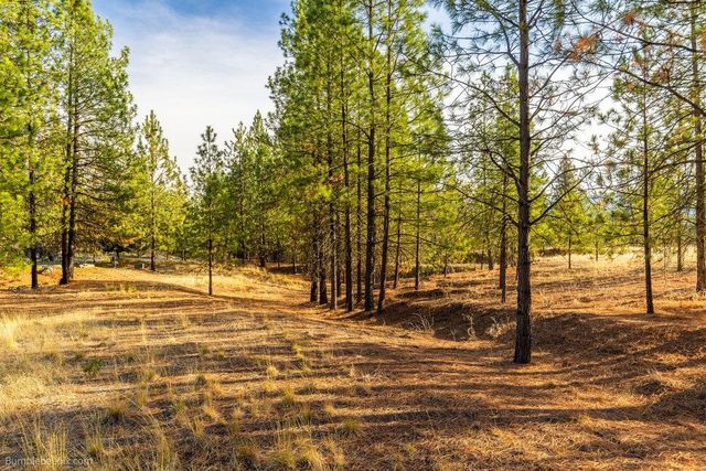 13601 N RIVERBLUFF Ln, Spokane, WA 99208