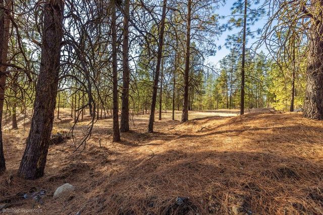 13601 N RIVERBLUFF Ln, Spokane, WA 99208