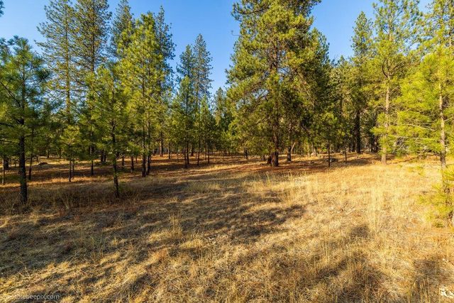 13601 N RIVERBLUFF Ln, Spokane, WA 99208