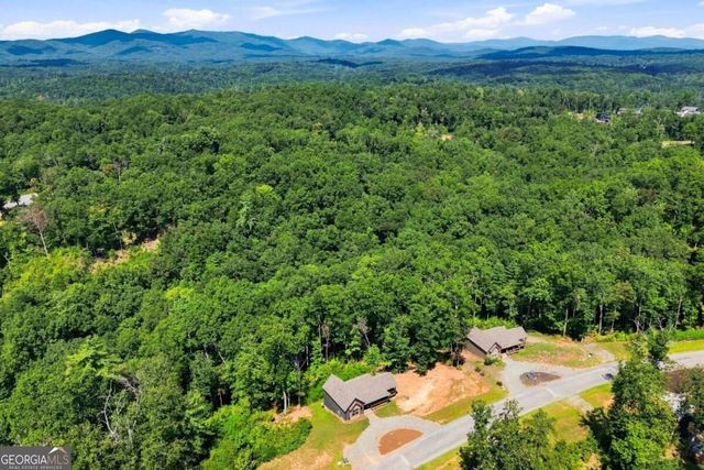 450 Jakes Landing Way, Ellijay, GA 30540