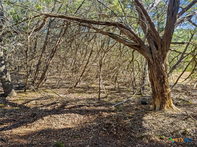 2095 Desiree Street, Canyon Lake, TX 78133