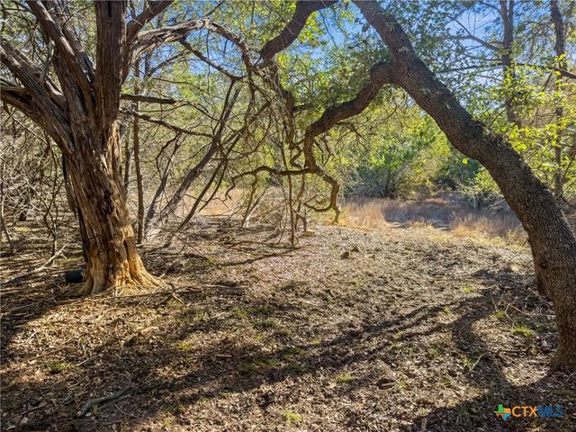 2095 Desiree Street, Canyon Lake, TX 78133