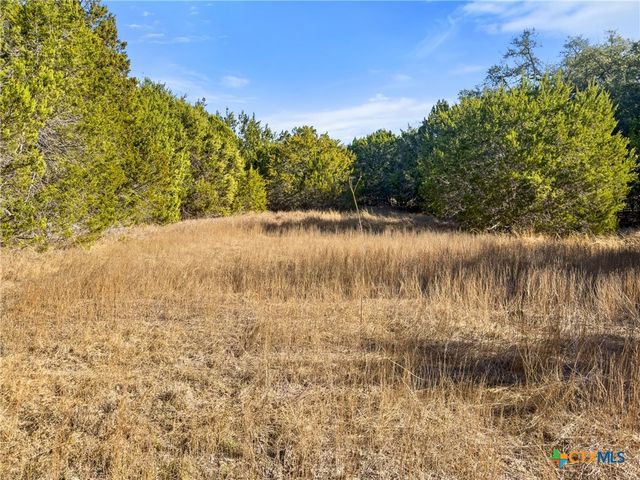 2095 Desiree Street, Canyon Lake, TX 78133