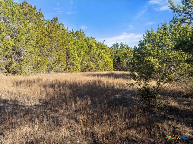 2095 Desiree Street, Canyon Lake, TX 78133