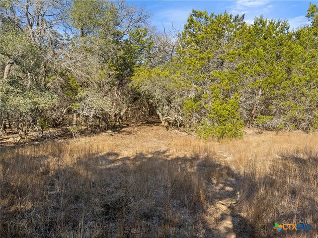 2095 Desiree Street, Canyon Lake, TX 78133