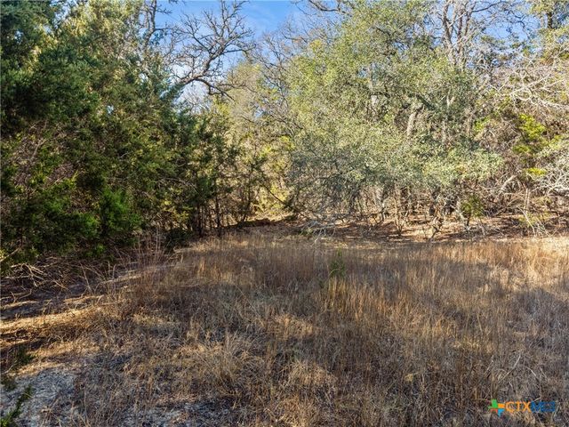 2095 Desiree Street, Canyon Lake, TX 78133