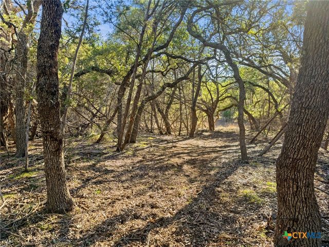 2095 Desiree Street, Canyon Lake, TX 78133