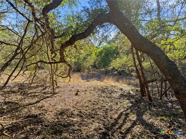 2095 Desiree Street, Canyon Lake, TX 78133