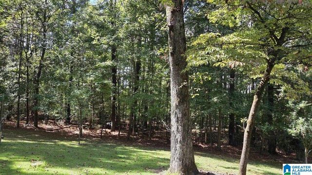 237 DRAGLINE LANE, Leeds, AL 35094