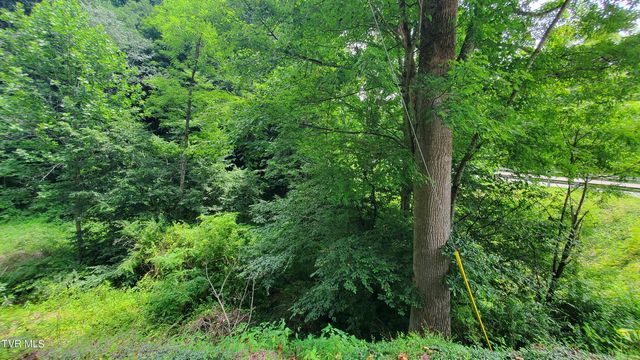 Tbd Us Highway 19e, Roan Mountain, TN 37687