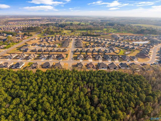 14855 Willow Rose Lane, Athens, AL 35613