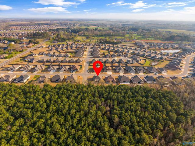 14855 Willow Rose Lane, Athens, AL 35613