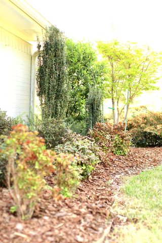 301 county road 44000, Blossom, TX 75416