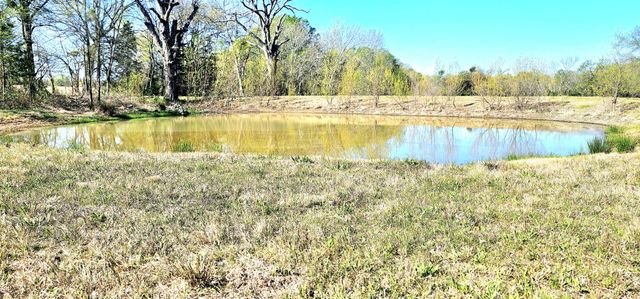 301 county road 44000, Blossom, TX 75416