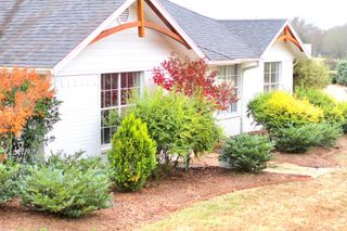 301 county road 44000, Blossom, TX 75416