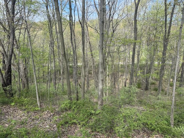 TBD Valley Gate, Milford, MI 48380