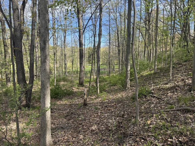 TBD Valley Gate, Milford, MI 48380