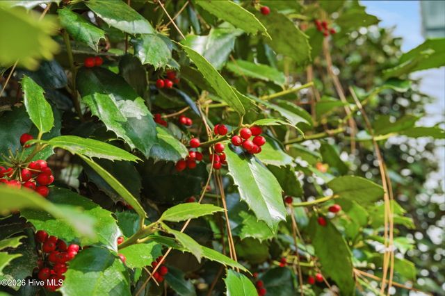 75 Ferguson Road, Pinehurst, NC 28374