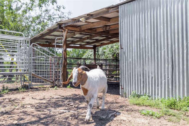 122 Homestead Drive, Gatesville, TX 76528