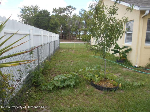 3466 Dow Lane, Spring Hill, FL 34609