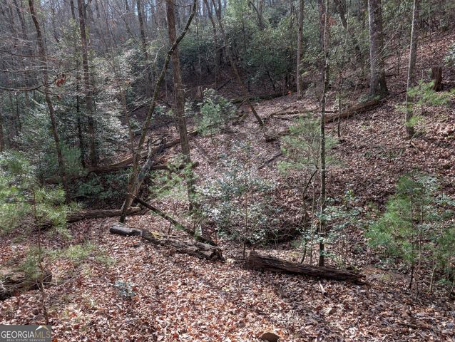 0 Bahn Innsbruck, Helen, GA 30545