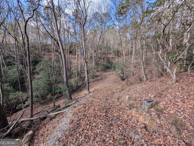 0 Bahn Innsbruck, Helen, GA 30545