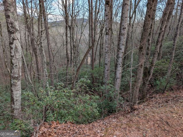 0 Bahn Innsbruck, Helen, GA 30545