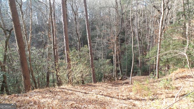 0 Bahn Innsbruck, Helen, GA 30545