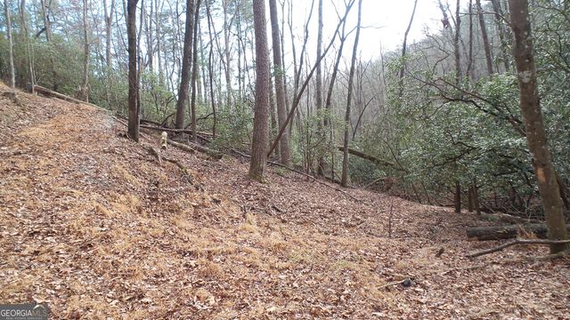 0 Bahn Innsbruck, Helen, GA 30545