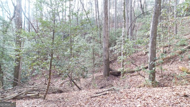 0 Bahn Innsbruck, Helen, GA 30545