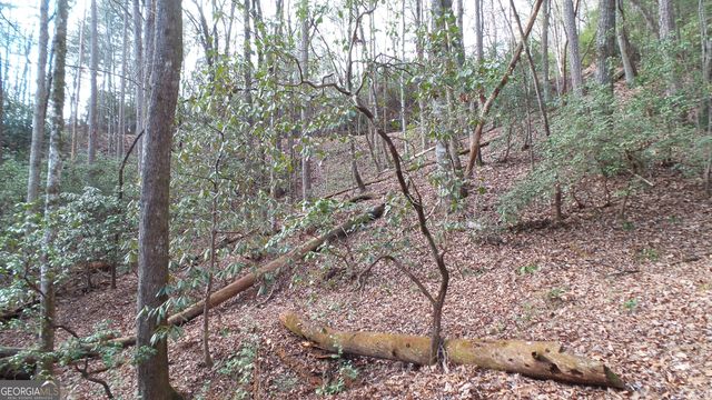 0 Bahn Innsbruck, Helen, GA 30545