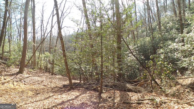 0 Bahn Innsbruck, Helen, GA 30545