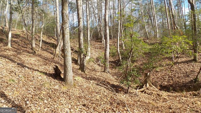 0 Bahn Innsbruck, Helen, GA 30545