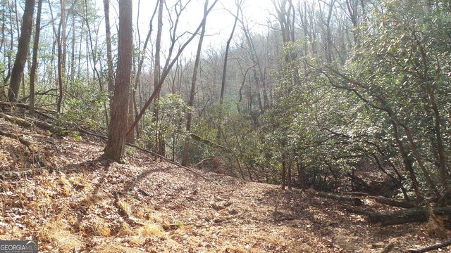 0 Bahn Innsbruck, Helen, GA 30545