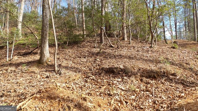 0 Bahn Innsbruck, Helen, GA 30545