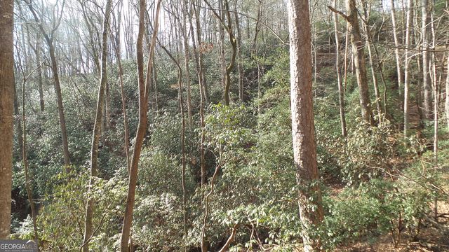 0 Bahn Innsbruck, Helen, GA 30545