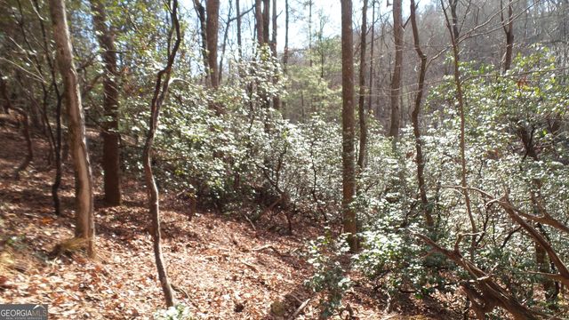 0 Bahn Innsbruck, Helen, GA 30545