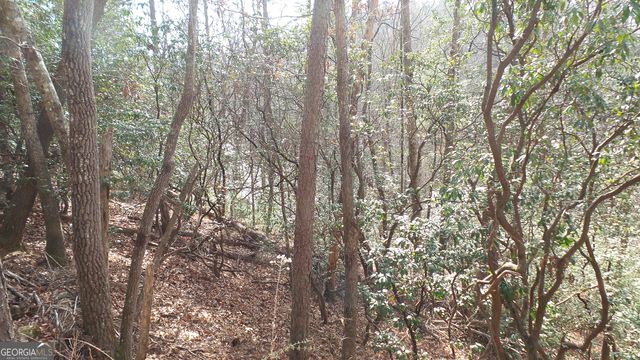 0 Bahn Innsbruck, Helen, GA 30545