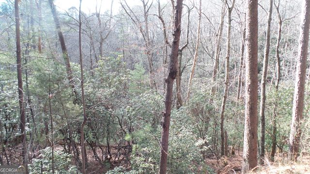 0 Bahn Innsbruck, Helen, GA 30545