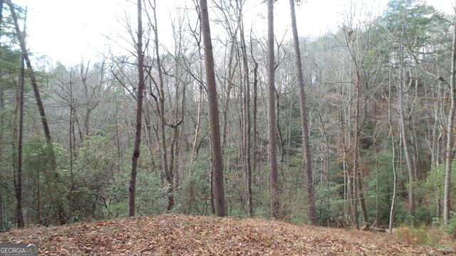 0 Bahn Innsbruck, Helen, GA 30545